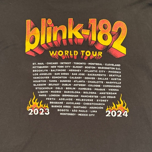 Tultex Blink-182 World Tour Charcoal T-Shirt - Picture 6 of 6